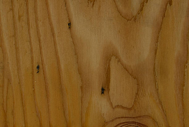 istock Texture of wood background 475301138