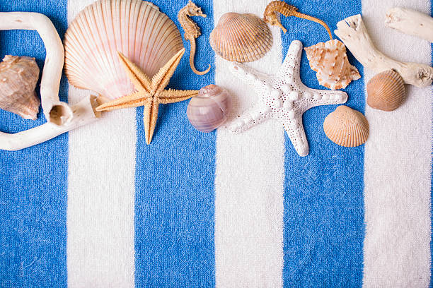 istock Summer vacation scene. Seashells on blue beach towel. 475301260