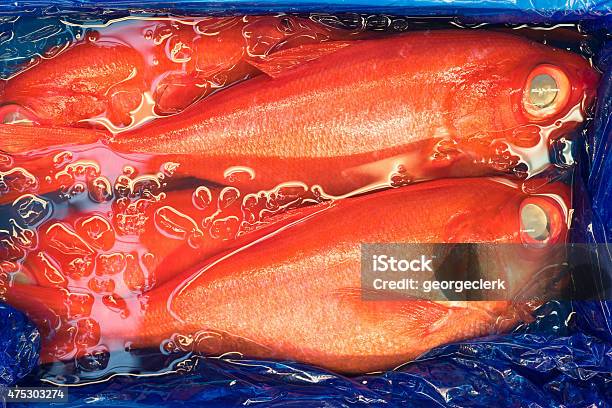 Fresh Golden Eye Snapper At Tsukiji Fish Market Stock Photo - Download  Image Now - iStock