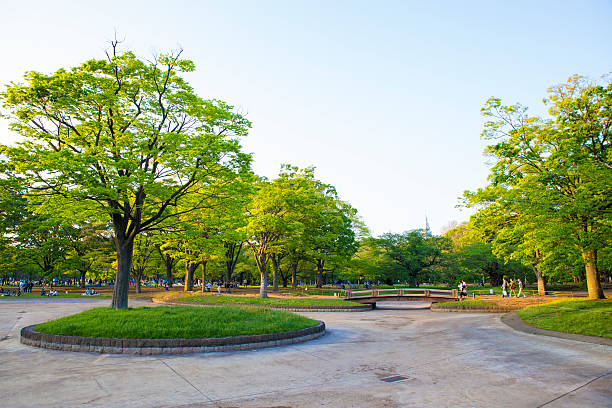 Yoyogi Park, Tokyo, Japan