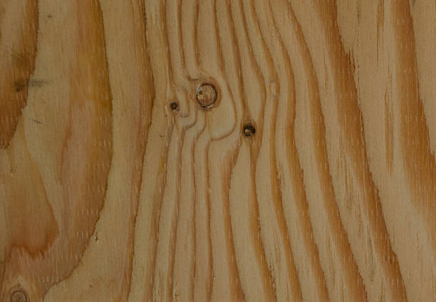 istock Texture of wood background 475308768