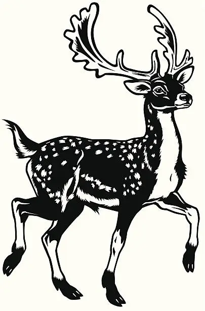 Vector illustration of fallow deer black white