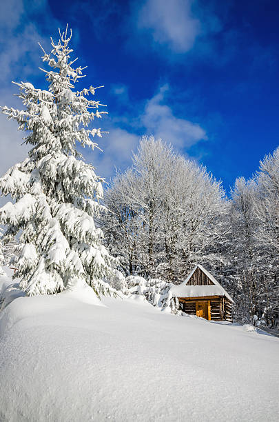 istock Mountain hut in winter landscape woods 475313956
