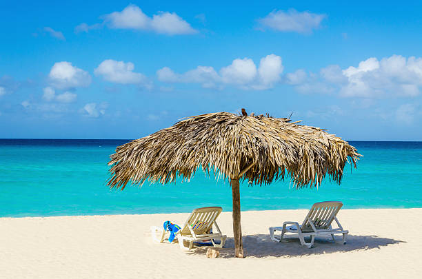 istock Tropical beach, sunbeds and palm tree umbrellas 475314074