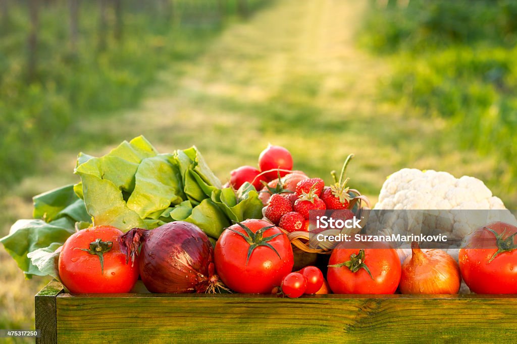 fresh organic vegetables 2015 Stock Photo