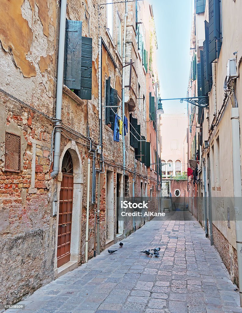 Piccioni nel backstreet - Foto stock royalty-free di Ambientazione esterna