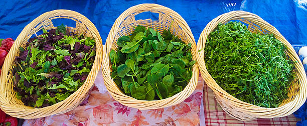 Three baskets of delicious farm fresh mixed greens. stock photo