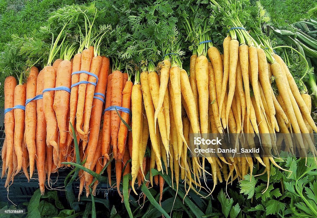 Deliciosos frescos de granjas zanahorias en bunches en un mercado de agricultores. - Foto de stock de Agricultor libre de derechos