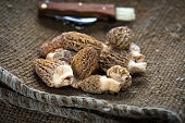 frische-morcheln-pilzen.jpg?b=1&s=170x170&k=20&c=IPC9D5IchGOHdiCNmre200b5MlkZAZpwTXqai54NsoA=