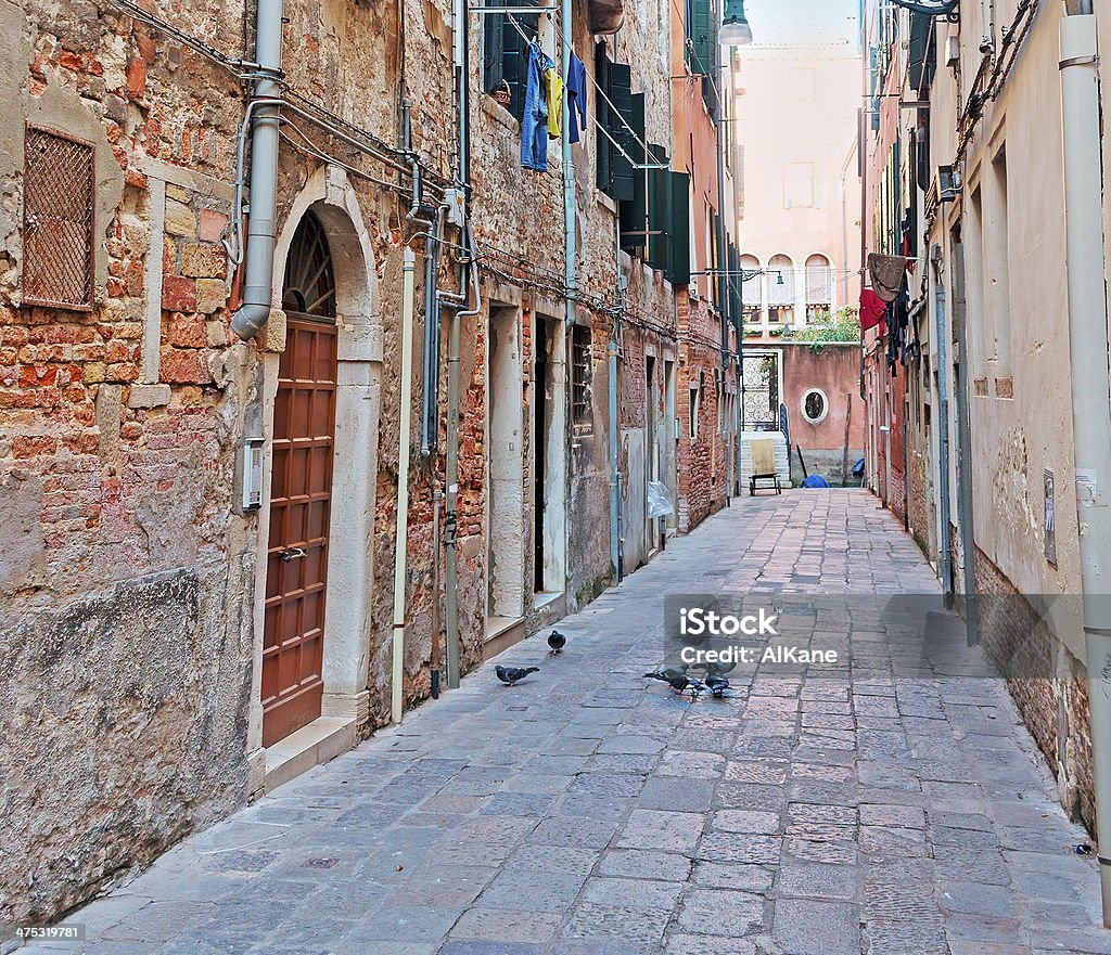 Piccioni nel backstreet - Foto stock royalty-free di Ambientazione esterna