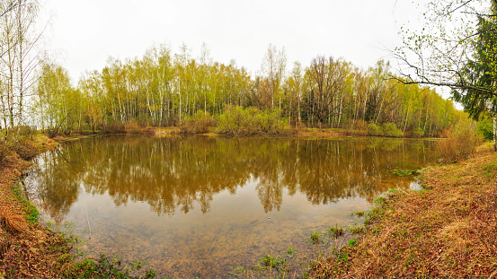 Landscape. Panorama overlooking the woods and the tranquil lake in cloudy weather. The concept of natural beauty and the environment.