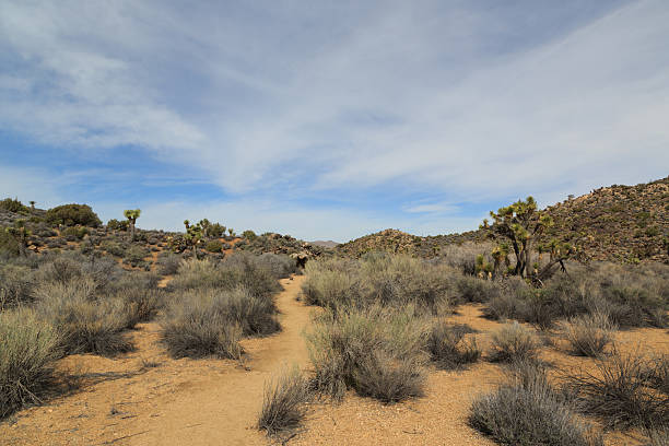 istock Lost Horse Mine Trail 475327958