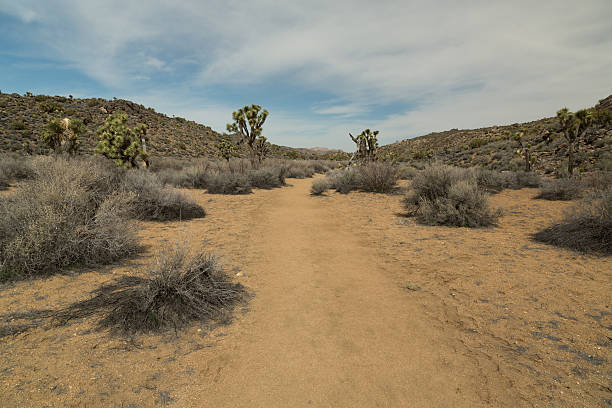 istock Lost Horse Mine Trail 475327960