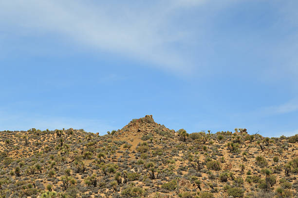 Lost Horse Mine Trail