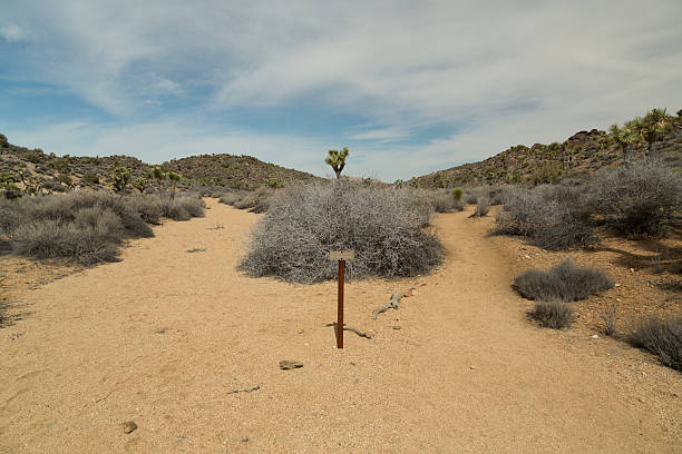 Lost Horse Mine Trail