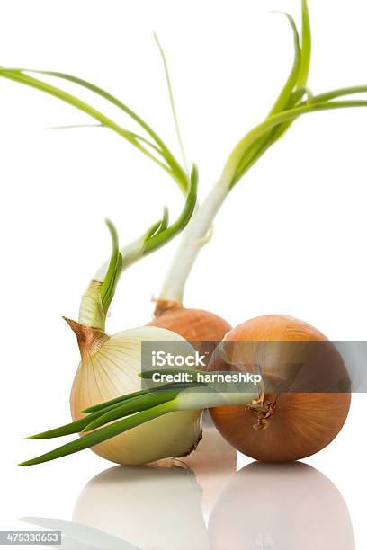 Onion Sprouts On White Background Stock Photo - Download Image Now - Food, Freshness, Leaf