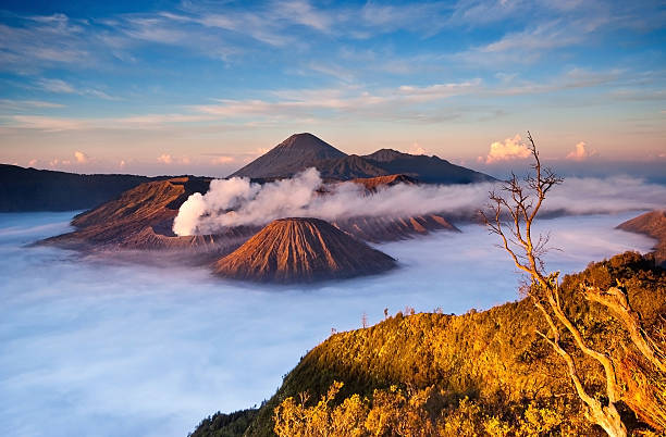 istock Bromo Volcano Mountain at Sunrise 475330829
