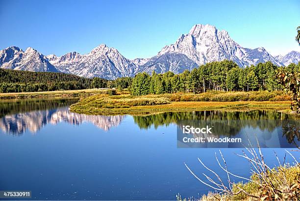 Majestatyczny Tetons - zdjęcia stockowe i więcej obrazów Bez ludzi - Bez ludzi, Drzewo, Fotografika