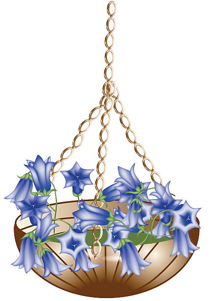 illustrazioni stock, clip art, cartoni animati e icone di tendenza di vaso appeso - hanging flower basket isolated