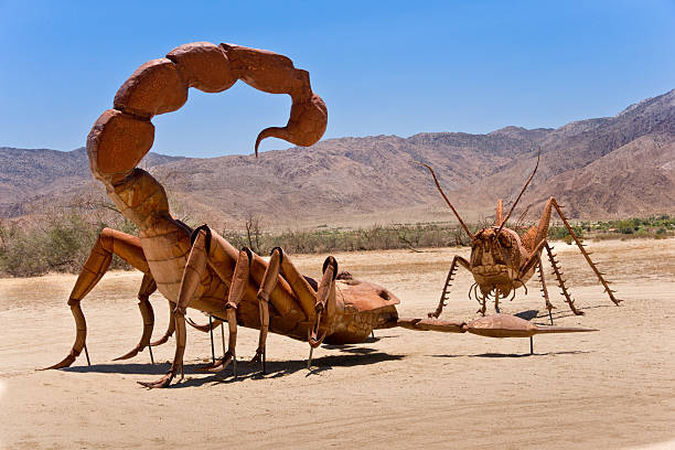 Desert Stand Off Borrego Springs, California, USA â June 25, 2012: A giant Scorpion and Grasshopper join the sculpture collection of prehistoric animals on permanent display at Galetta Meadows. borrego springs photos stock pictures, royalty-free photos & images
