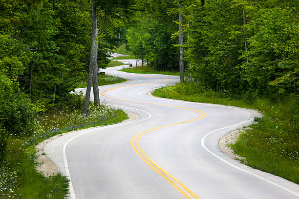 strada tortuosa nella foresta - curve road winding road street foto e immagini stock