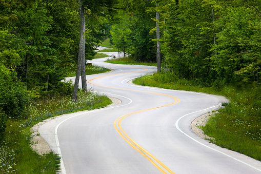 Winding road in a forest in Wisconsin