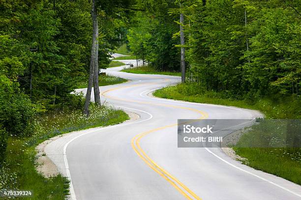 Winding Road In Forest Stock Photo - Download Image Now - Winding Road, Road, Curve