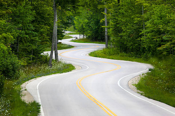 estrada sinuosa em floresta - windy road imagens e fotografias de stock