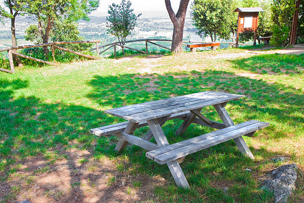 Picnic table in a Tuscany pinewood (Italy)