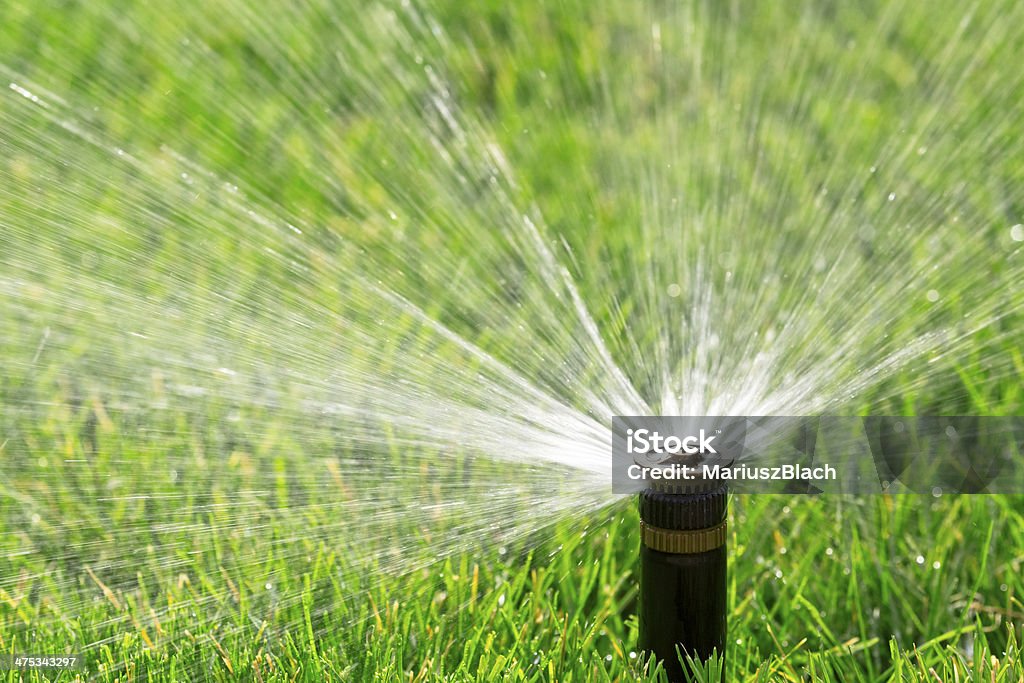 Automatic sprinkler automatic sprinkler watering fresh lawn Sprinkler Stock Photo