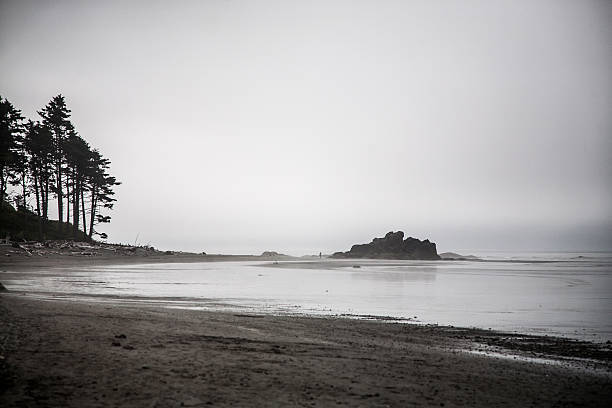 istock Serene beach shroud in fog 475344896