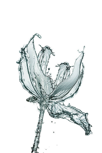 istock flower made of water 475344984