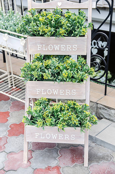 istock Beautiful Spring Flowers in Pots.  Outside 475349212