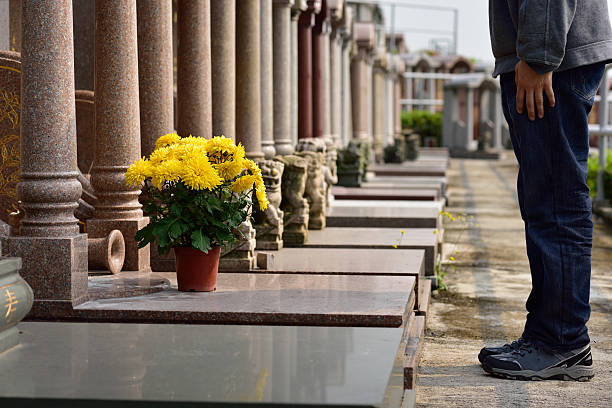 man put flower in front of tomb of ancestor - 清明節 個照片及圖片檔