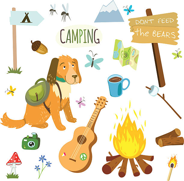 Vector illustration of Cartoon Camping equipment vocabulary Stock Vector
