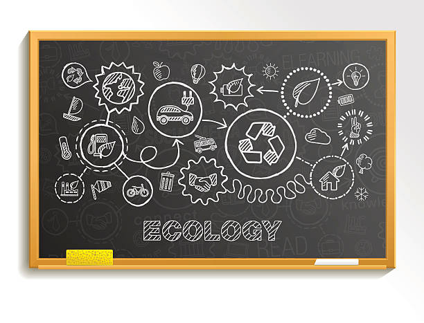 Ecology hand draw integrated icons set on school board. vector art illustration