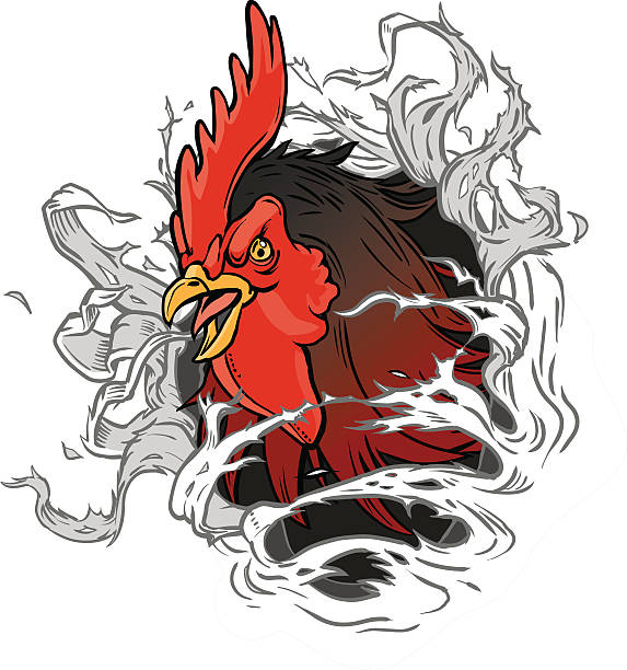 Realistic Rooster Mascot Ripping out of Background Vector cartoon clip art illustration of a realistic rooster or gamecock or chanticleer mascot head ripping through the background. Rooster head is on a separate layer for easy editing. shredded chicken stock illustrations