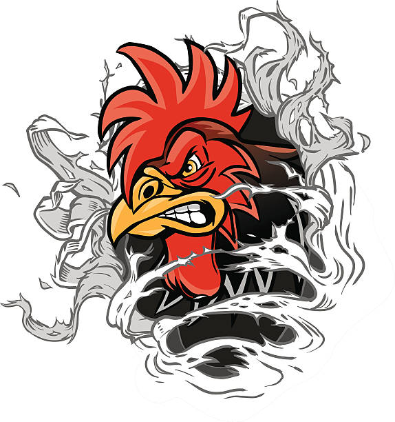 Cartoon Rooster Mascot Ripping out of Background Vector cartoon clip art illustration of a rooster or gamecock or chanticleer mascot head ripping through the background. Rooster head is on a separate layer for easy editing. shredded chicken stock illustrations