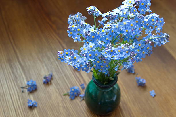 istock forget me nots on the vase 475353344