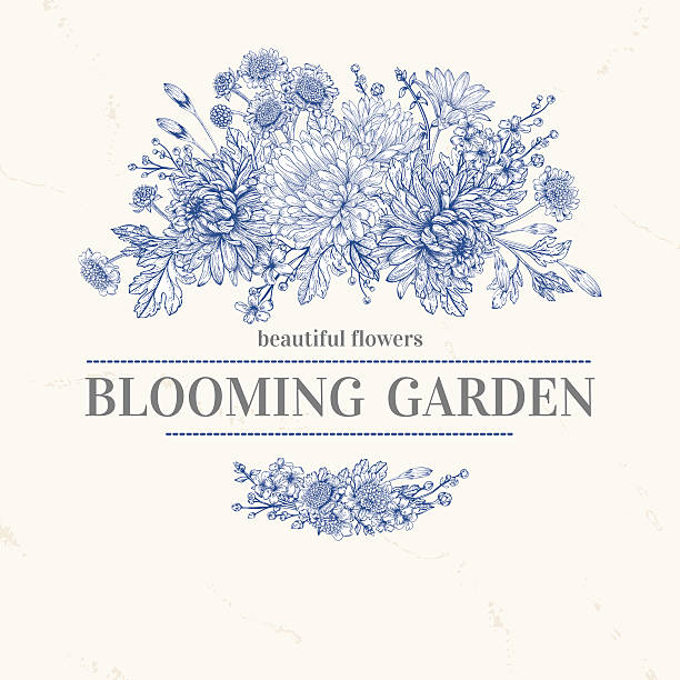 배경 꽃을. - frame flower ornamental garden beauty in nature stock illustrations