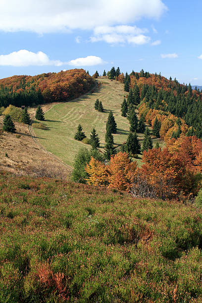 Autumn in Javorniky Mountains Autumnal landscape of Javorniky (Maple Mountains) -  a mountain range of the Slovak-Moravian Carpathians that forms part of the border between the Czech Republic and Slovakia. czech republic mountains stock pictures, royalty-free photos & images