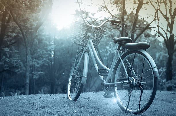 istock Classic Bicycle at sunset in the park or deep forest 475357312