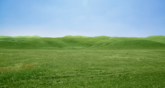 Central California Carrizo plain landscape with clear blue sky and grass-covered hillls.