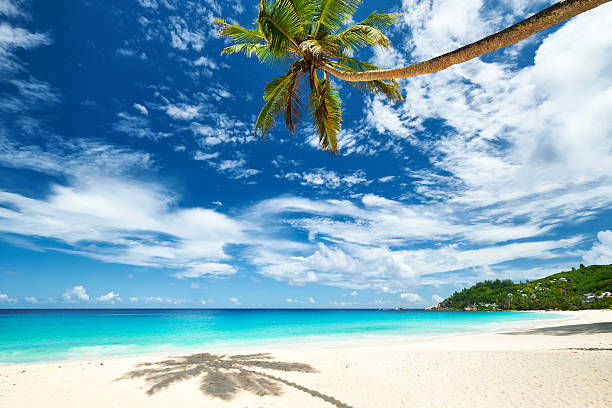 istock Beautiful Anse Intendance beach at Seychelles 475361708