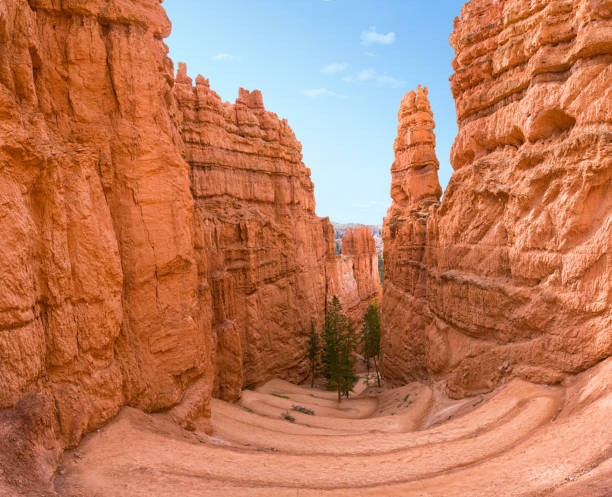 브라이스 협곡 협곡 - navajo sandstone 뉴스 사진 이미지