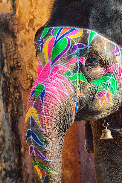 istock Painted Elephant Portrait in Amer, India 475371594