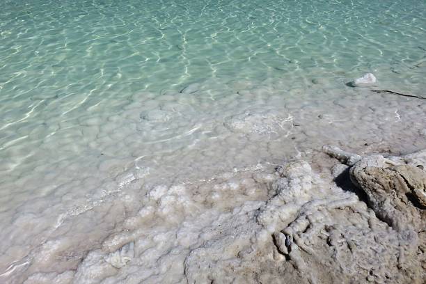 istock View of Dead Sea coastline 475372838