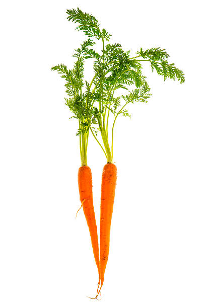 istock fresh carrot rotts with green leaves isolated on white 475373991