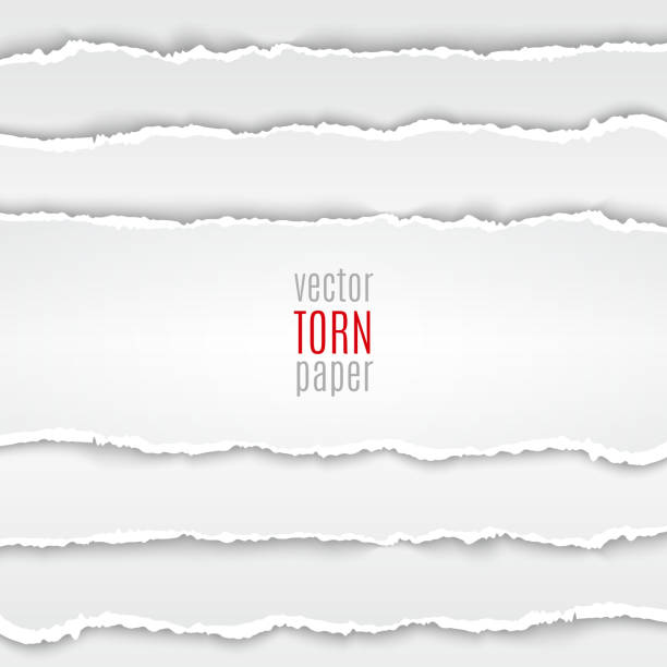 White torn paper vector art illustration