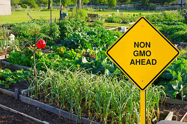 aliment génétiquement modifié signalisation routière en face du jardin bio - insecticide organic sign vegetable garden photos et images de collection